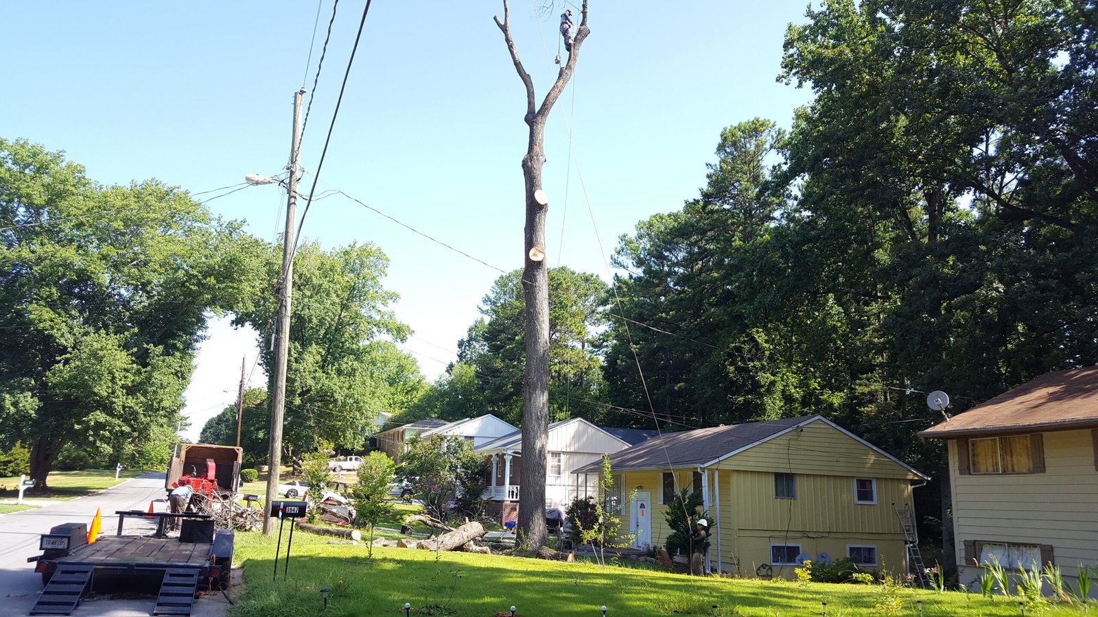 leaning tree emergency tucker stone mountain