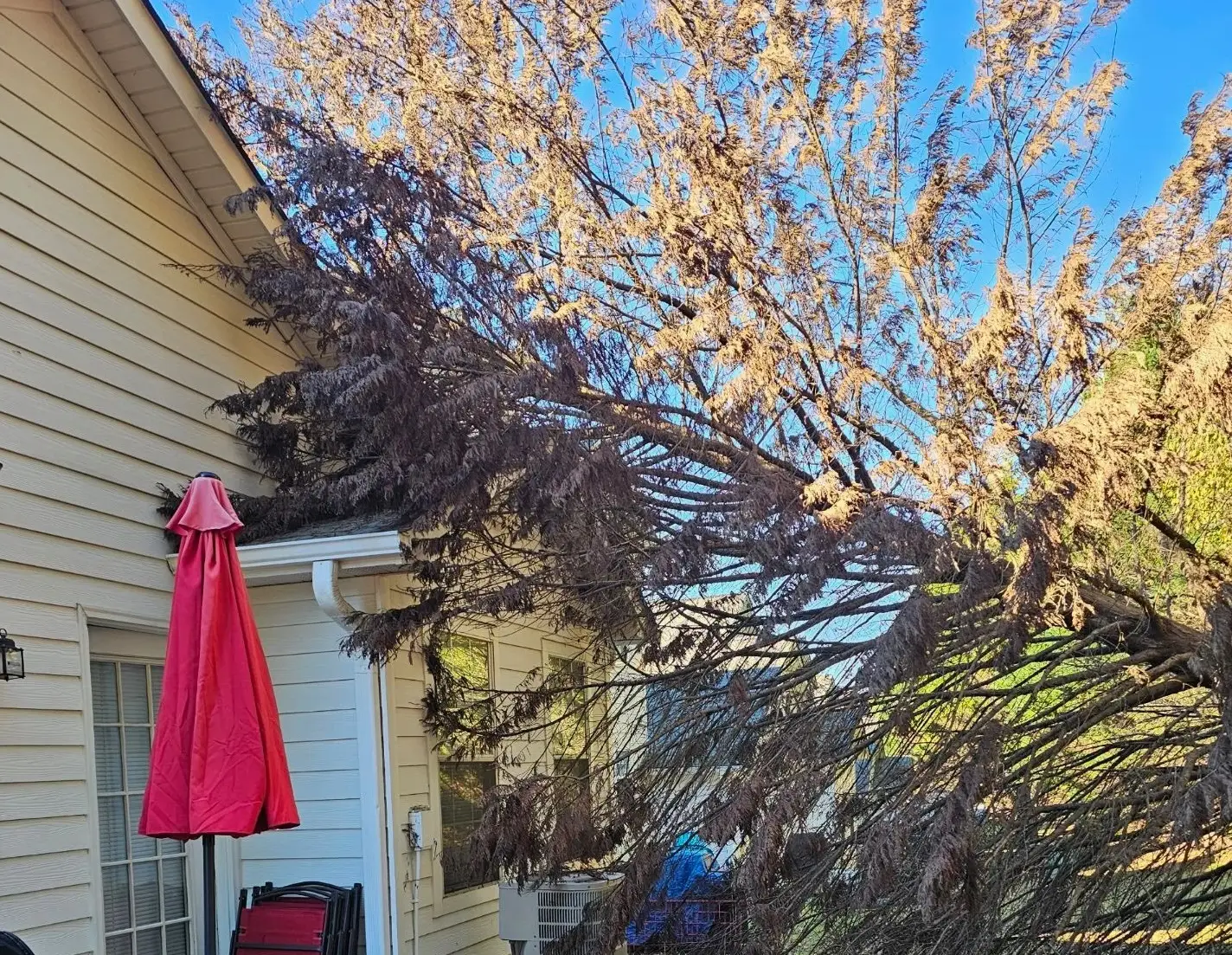 storm damage tree removal clarkston ga