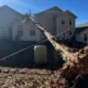 Emergency Tree Service Georgia Contact | Francisco's Trees 24/7
