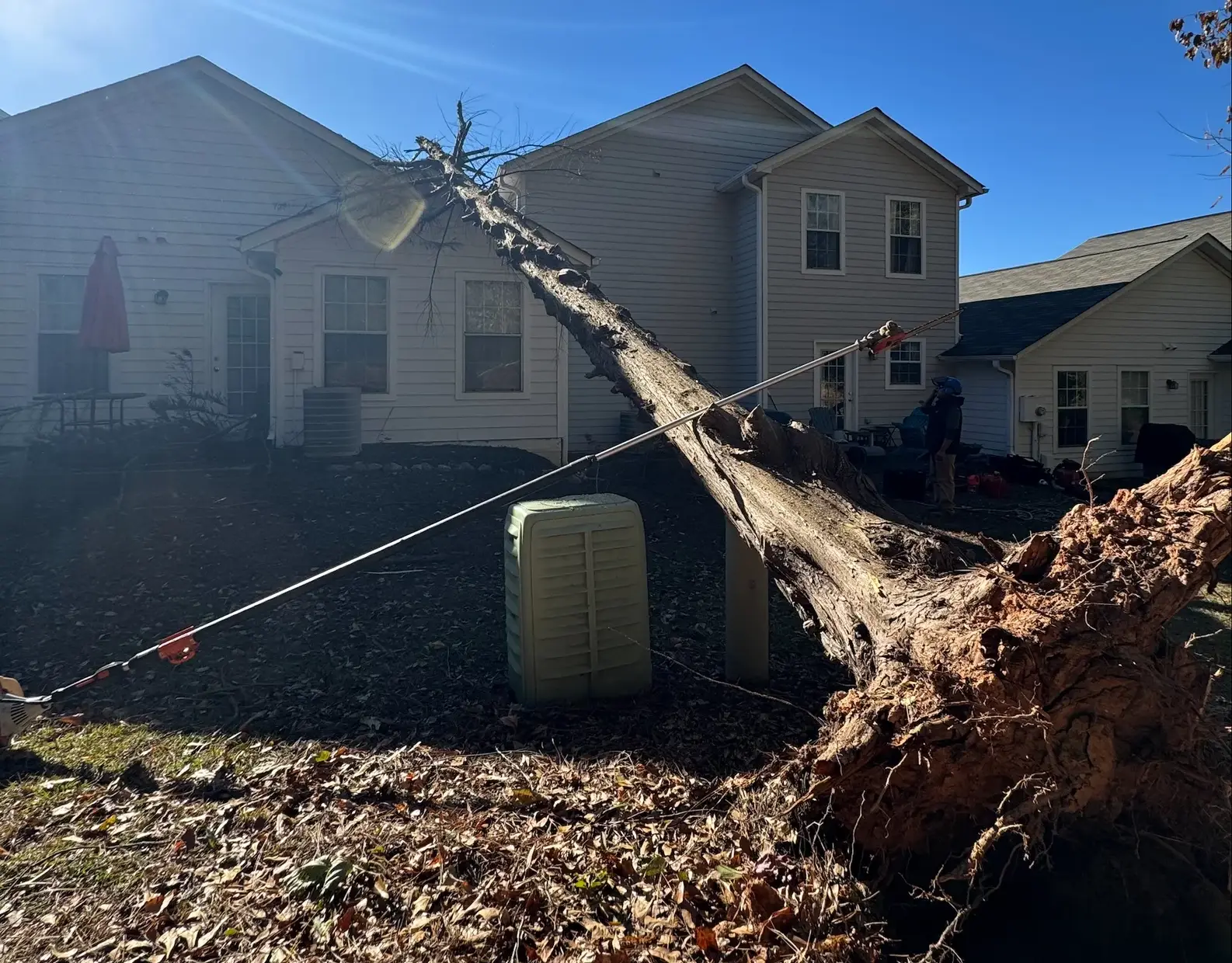 Emergency Tree Service Georgia Contact | Francisco's Trees 24/7