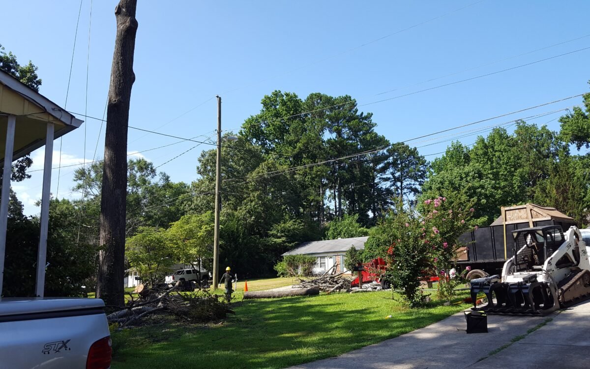 Emergency Tree Removal Cobb County GA