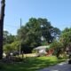Emergency Tree Removal Cobb County GA