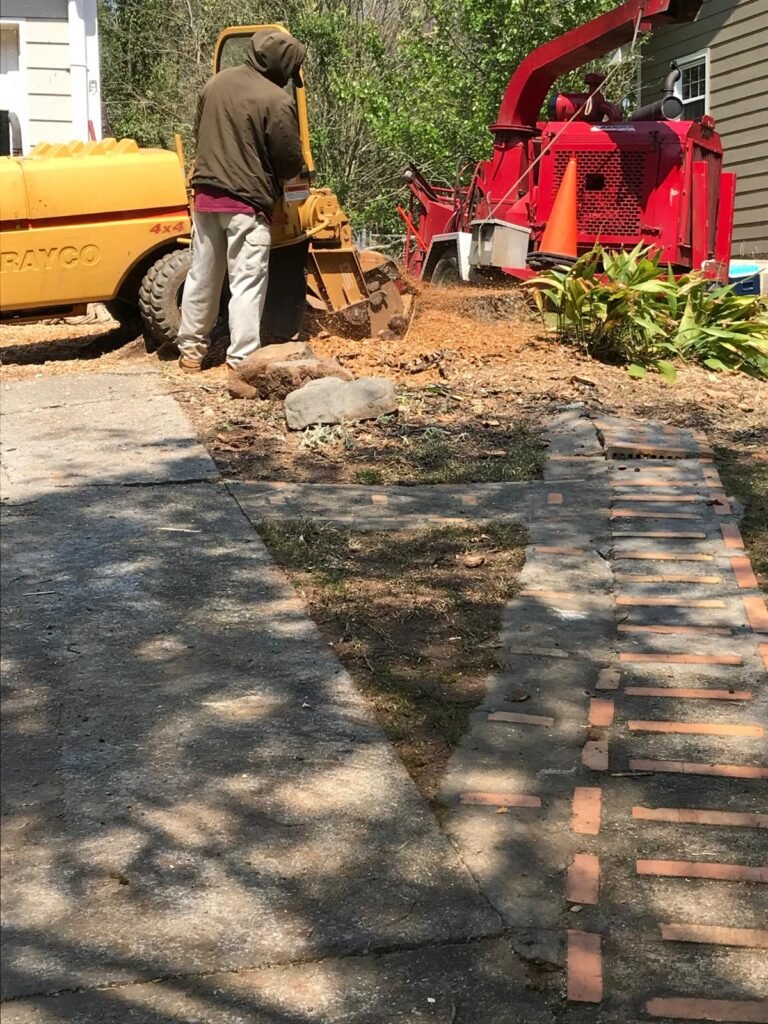 Emergency tree service Georgia