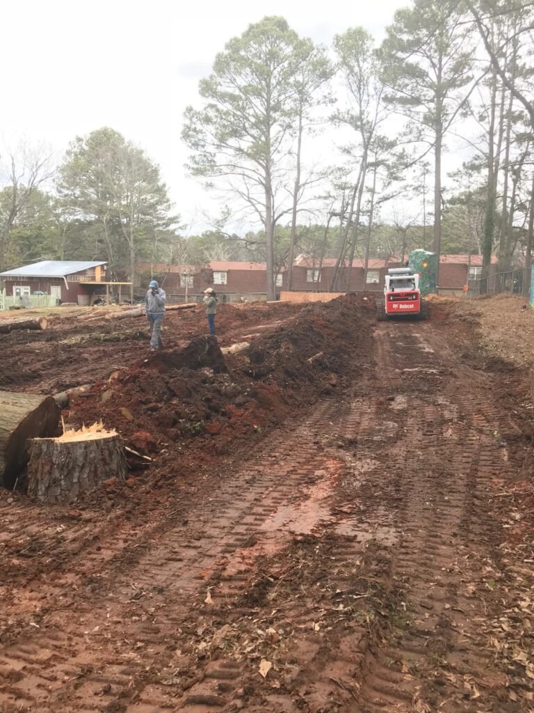 Tree services Georgia