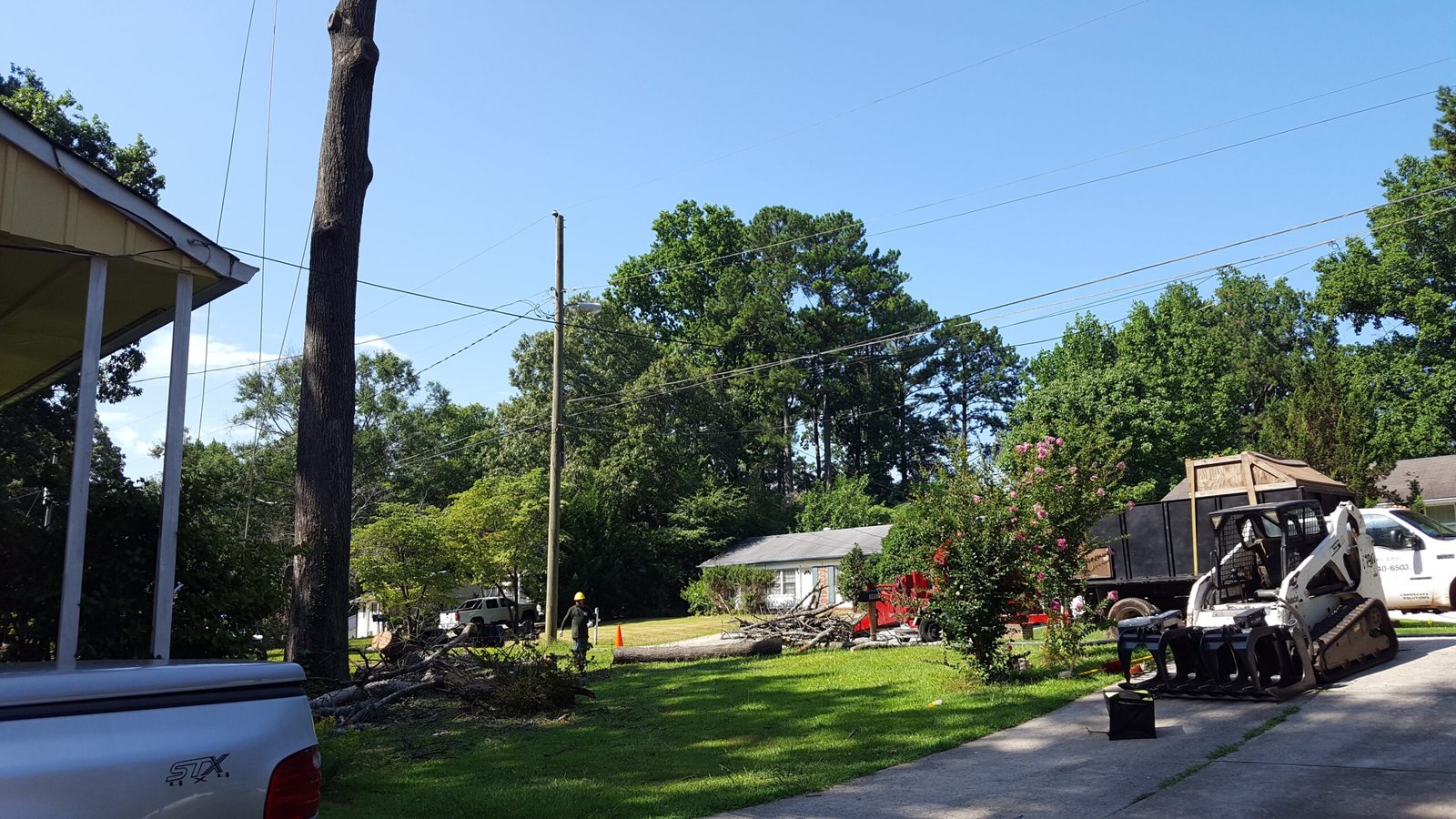 neighbor tree disputes georgia