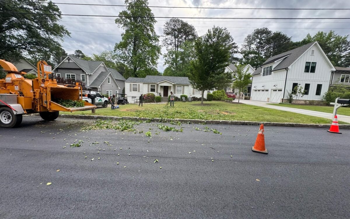 tree services brookhaven and Sandy Springs