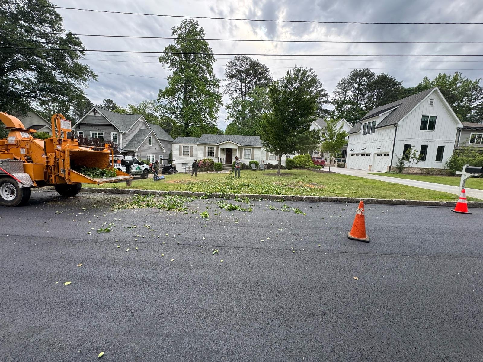 tree services brookhaven and Sandy Springs