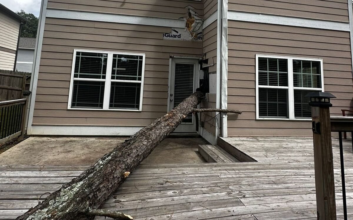 georgia tree care calendar