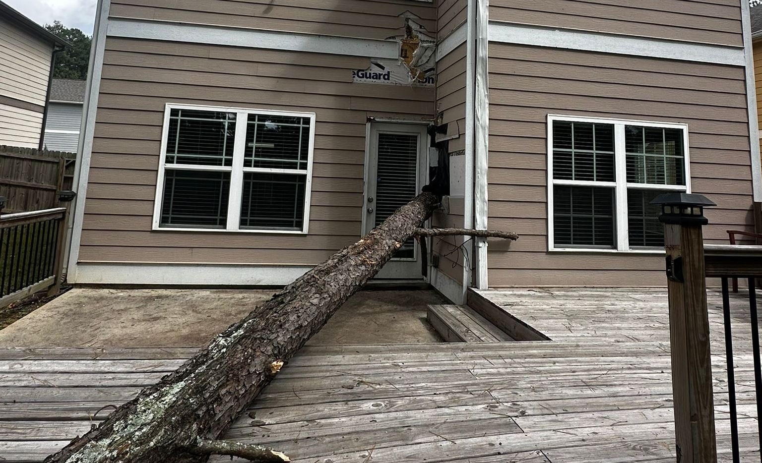 georgia tree care calendar