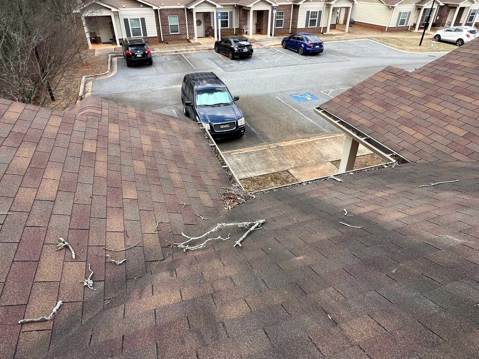 Emergency Tree Removal Cobb County GA