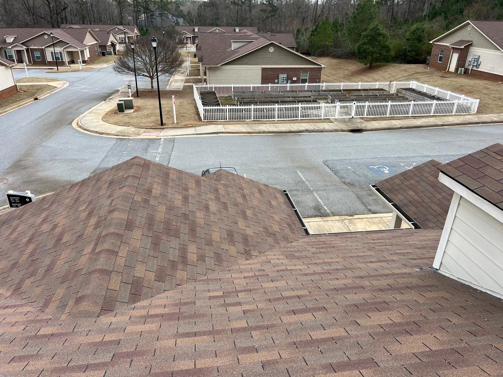 professional tree trimming dekalb county ga