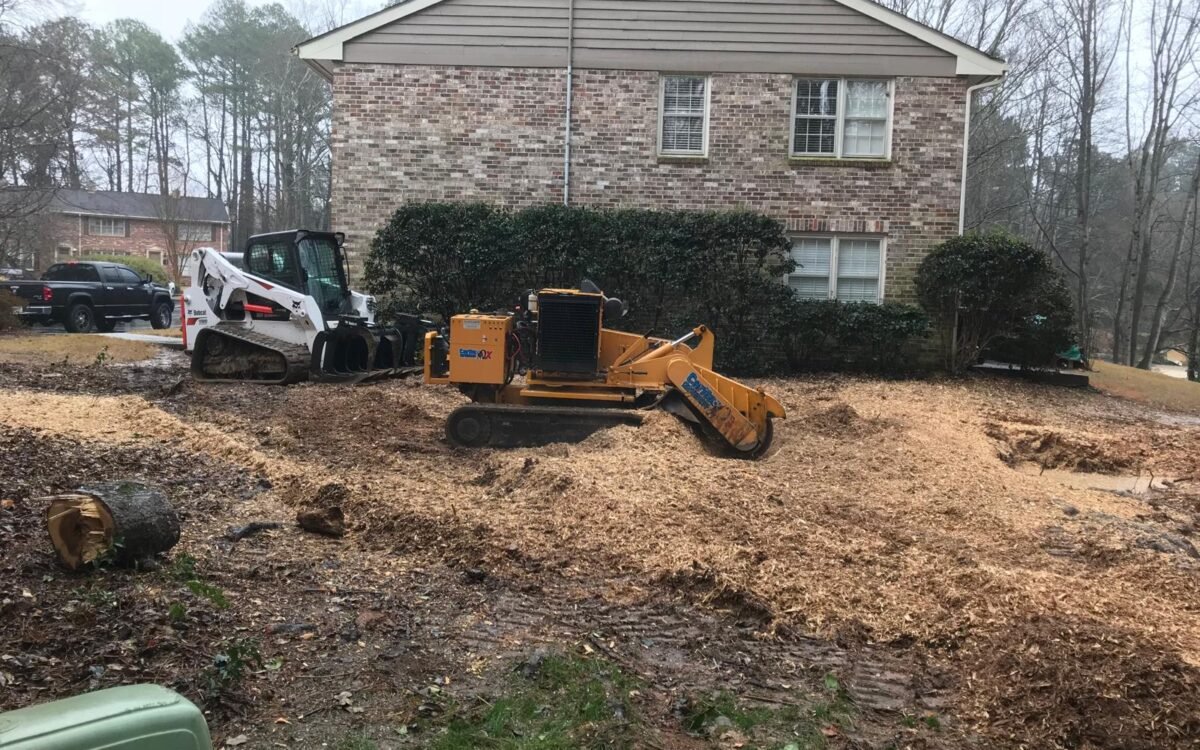 Tree Services in Johns Creek and Alpharetta