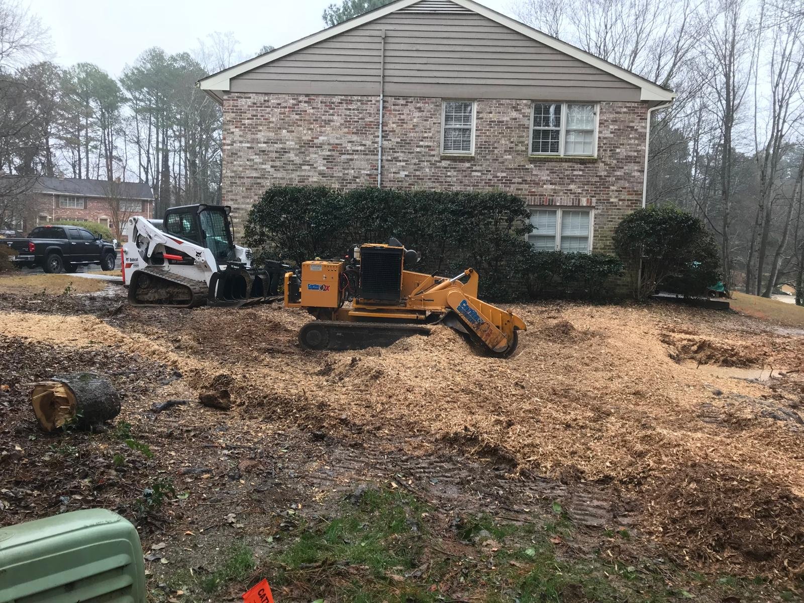 Tree Services in Johns Creek and Alpharetta