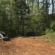 Emergency Tree Service Gwinnett County GA