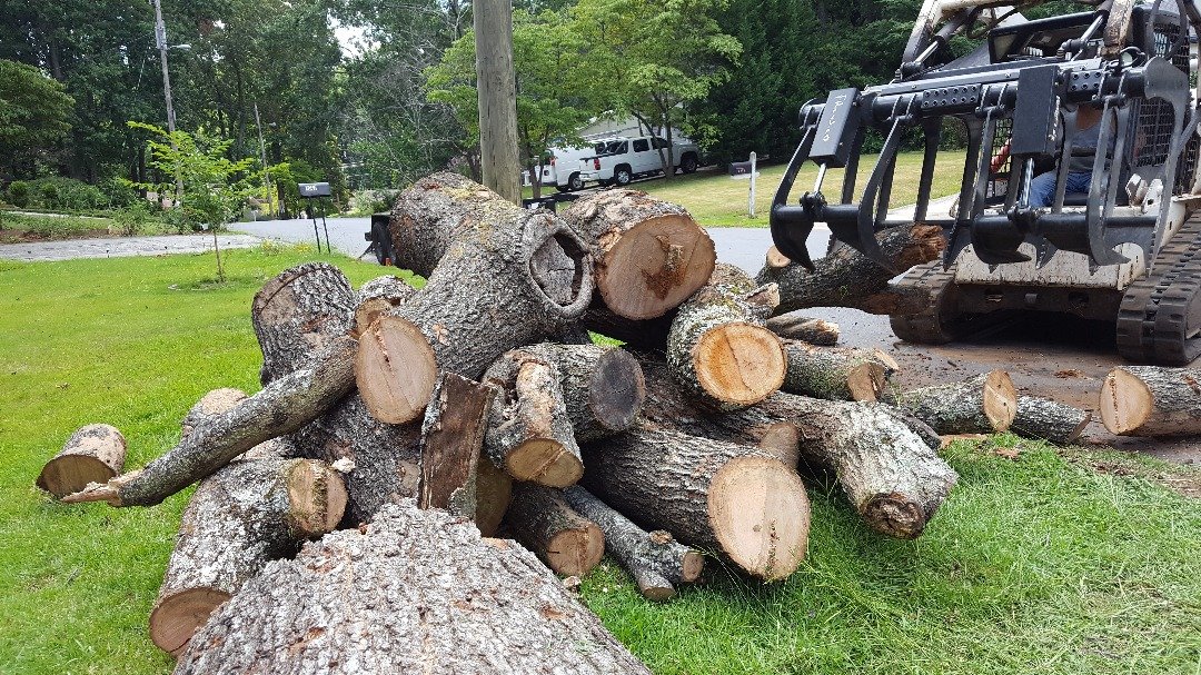 Stump Grinding Georgia