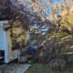 climate change tree risks Fulton County GA