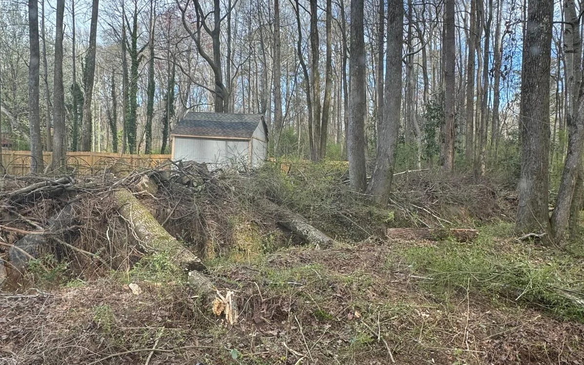 tree disease detection Fulton County GA