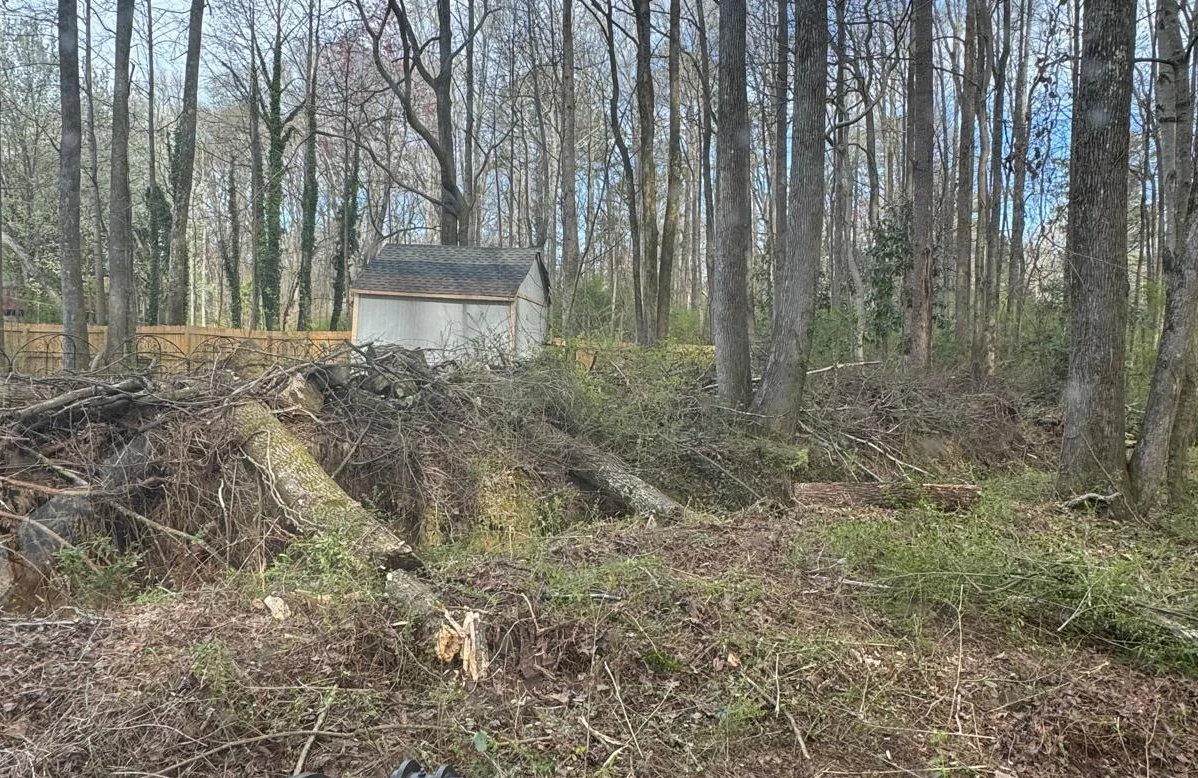 tree disease detection Fulton County GA