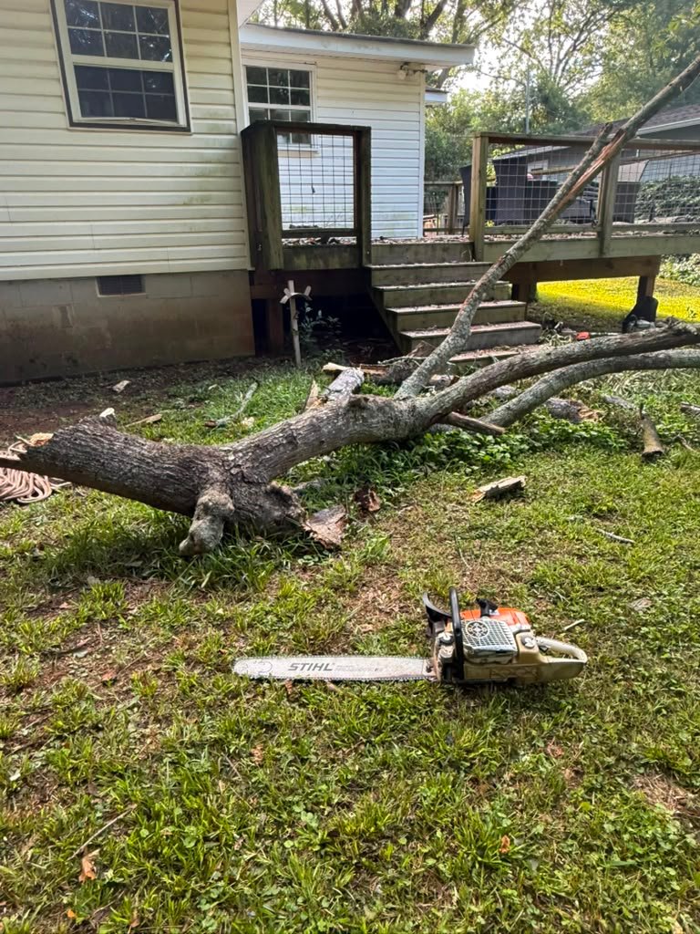 Emergency Tree Removal DeKalb County GA